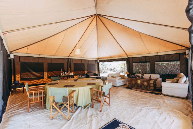 Game frontiers hunting safari Tanzania