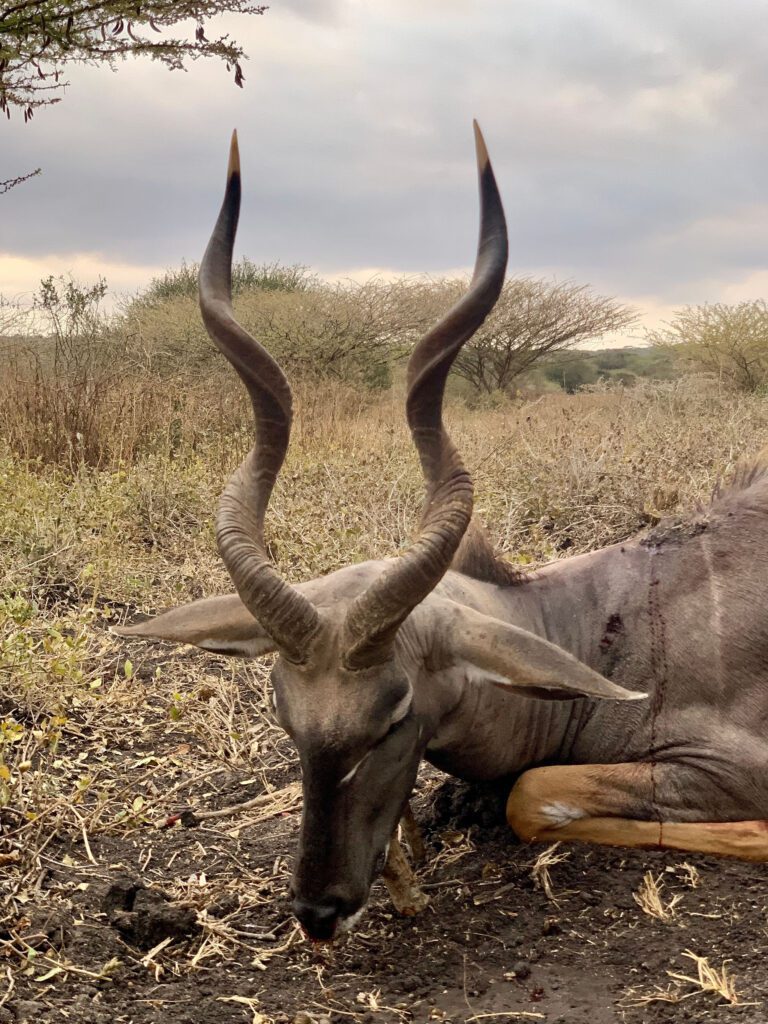 Throphy Hunting Tanzania Game Frontiers of Tanzania