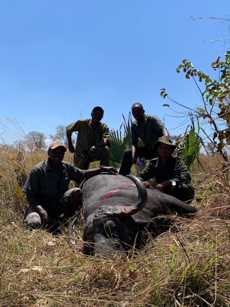 Game frontiers hunting safari Tanzania