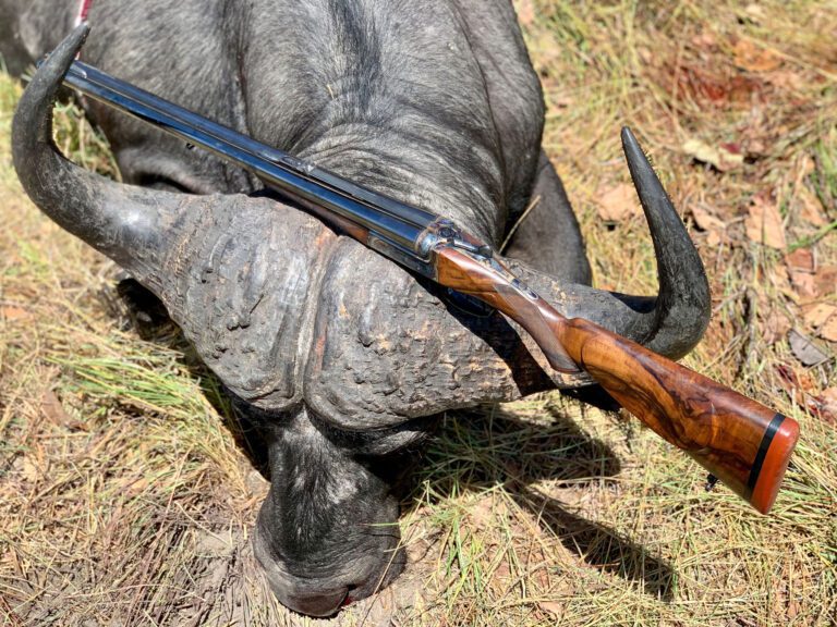 Throphy Hunting Tanzania Game Frontiers of Tanzania
