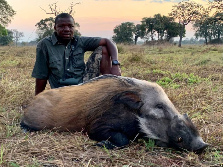 Throphy Hunting Tanzania Game Frontiers of Tanzania