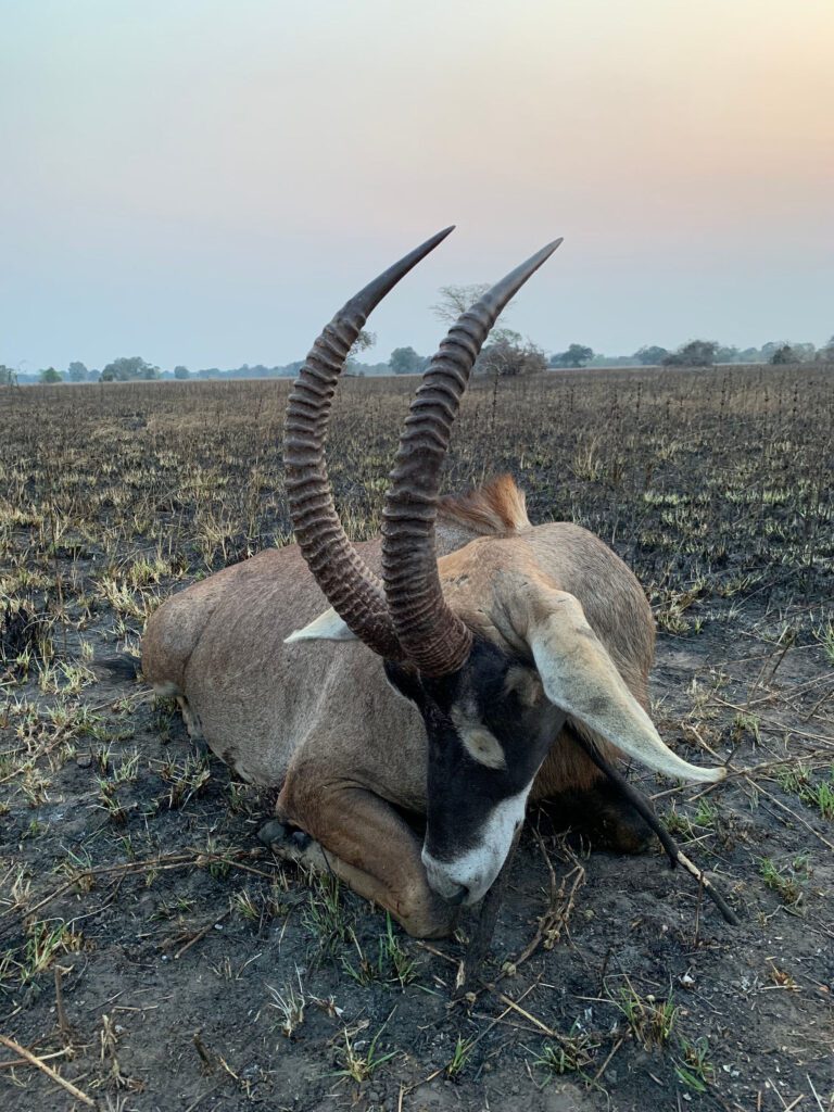 Throphy Hunting Tanzania Game Frontiers of Tanzania