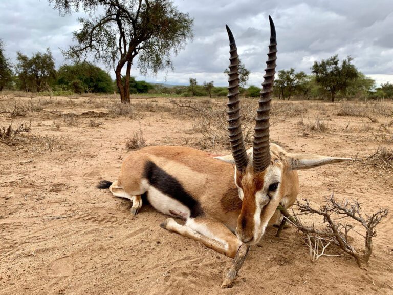 Game frontiers hunting safari Tanzania