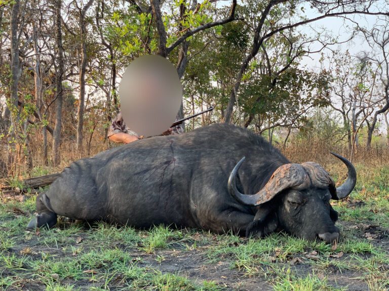 Game frontiers hunting safari Tanzania