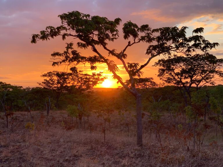 Game frontiers hunting safari Tanzania